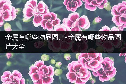 金属有哪些物品图片-金属有哪些物品图片大全