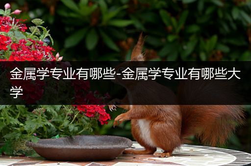 金属学专业有哪些-金属学专业有哪些大学