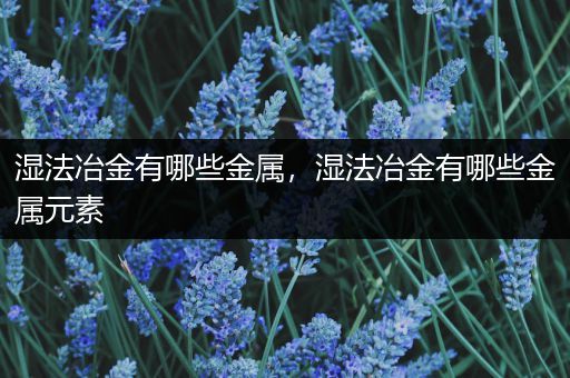 湿法冶金有哪些金属，湿法冶金有哪些金属元素