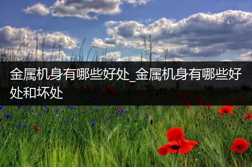 金属机身有哪些好处_金属机身有哪些好处和坏处