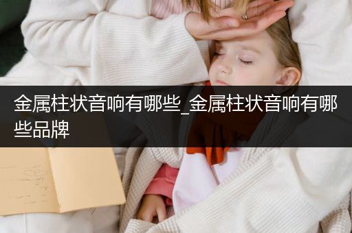 金属柱状音响有哪些_金属柱状音响有哪些品牌
