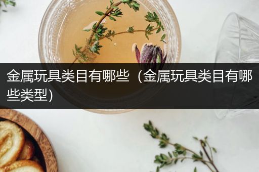 金属玩具类目有哪些（金属玩具类目有哪些类型）