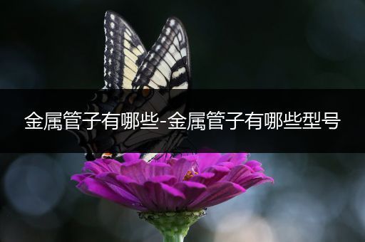 金属管子有哪些-金属管子有哪些型号