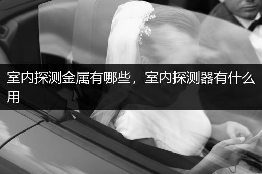 室内探测金属有哪些，室内探测器有什么用