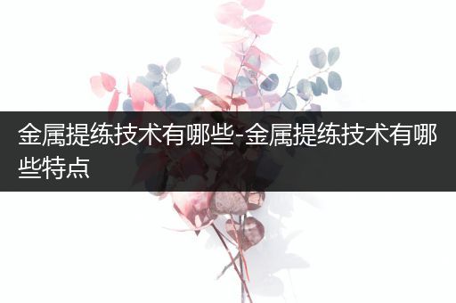 金属提练技术有哪些-金属提练技术有哪些特点