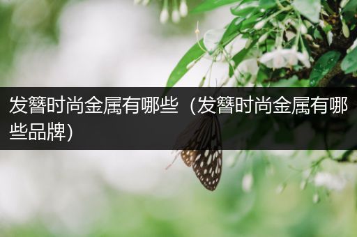 发簪时尚金属有哪些（发簪时尚金属有哪些品牌）