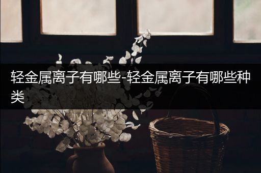 轻金属离子有哪些-轻金属离子有哪些种类