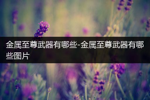 金属至尊武器有哪些-金属至尊武器有哪些图片