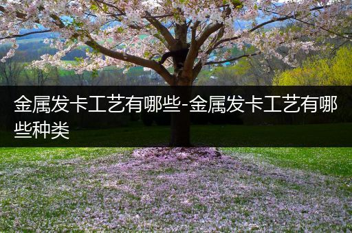 金属发卡工艺有哪些-金属发卡工艺有哪些种类