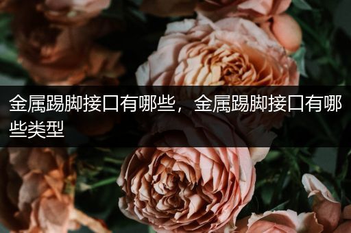 金属踢脚接口有哪些，金属踢脚接口有哪些类型