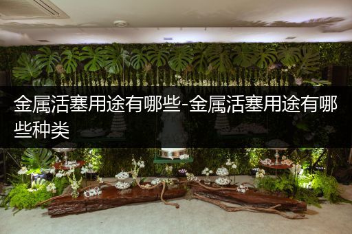 金属活塞用途有哪些-金属活塞用途有哪些种类