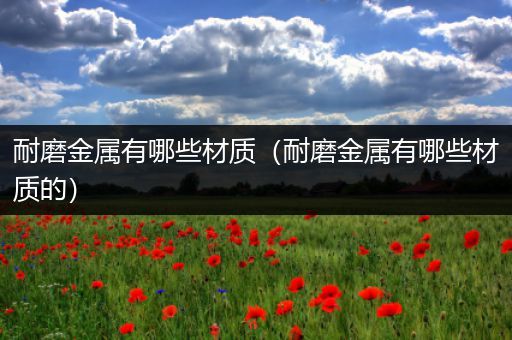 耐磨金属有哪些材质（耐磨金属有哪些材质的）