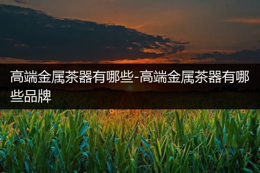 高端金属茶器有哪些-高端金属茶器有哪些品牌