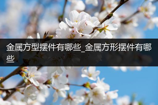 金属方型摆件有哪些_金属方形摆件有哪些