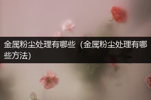 金属粉尘处理有哪些（金属粉尘处理有哪些方法）