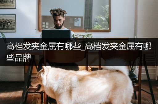 高档发夹金属有哪些_高档发夹金属有哪些品牌
