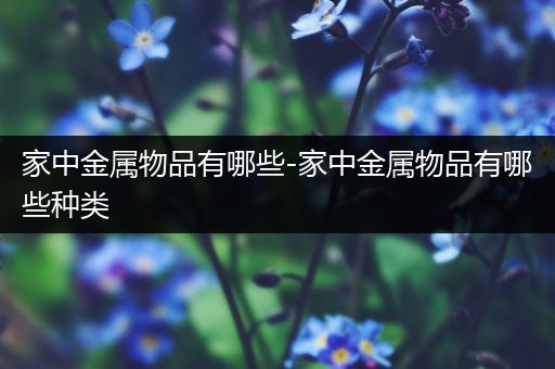 家中金属物品有哪些-家中金属物品有哪些种类
