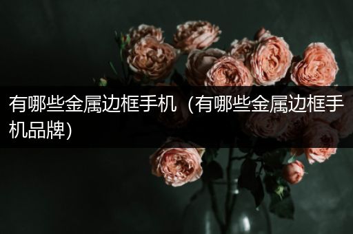 有哪些金属边框手机（有哪些金属边框手机品牌）