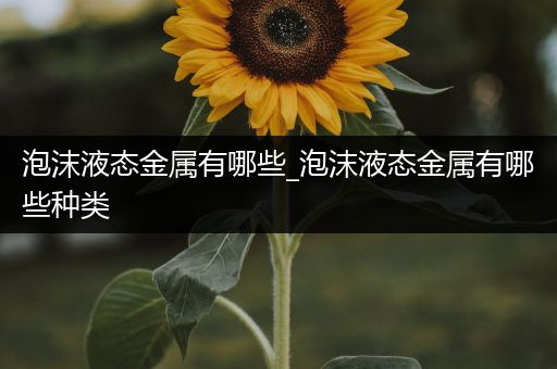 泡沫液态金属有哪些_泡沫液态金属有哪些种类