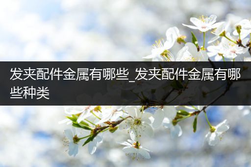 发夹配件金属有哪些_发夹配件金属有哪些种类
