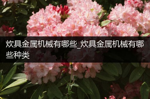 炊具金属机械有哪些_炊具金属机械有哪些种类