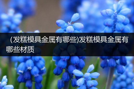 （发糕模具金属有哪些)发糕模具金属有哪些材质