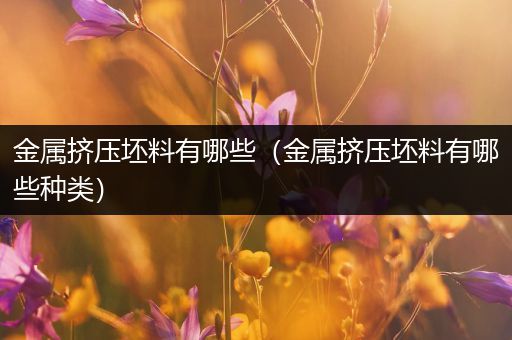 金属挤压坯料有哪些（金属挤压坯料有哪些种类）