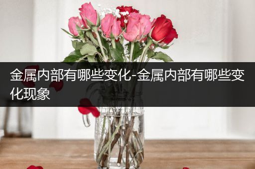 金属内部有哪些变化-金属内部有哪些变化现象