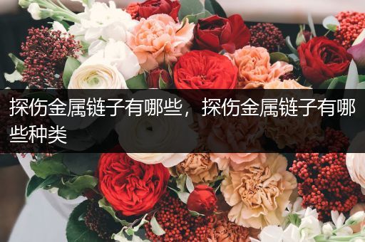 探伤金属链子有哪些，探伤金属链子有哪些种类