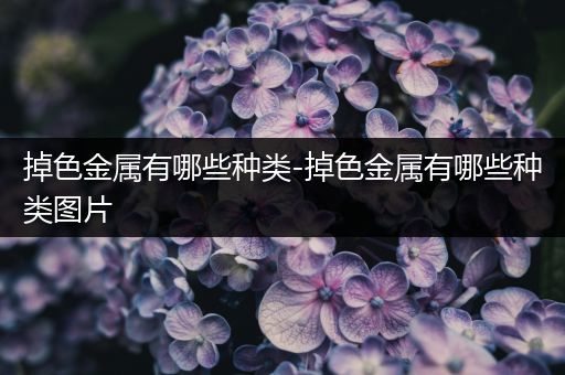 掉色金属有哪些种类-掉色金属有哪些种类图片