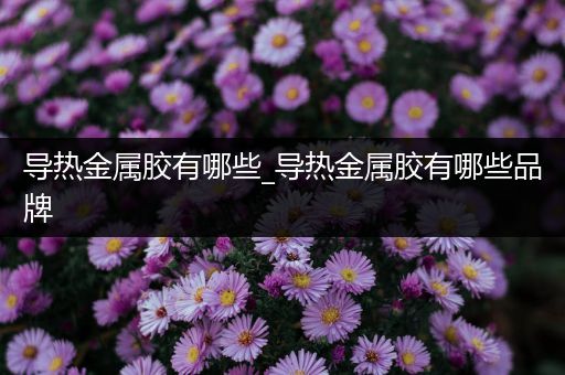 导热金属胶有哪些_导热金属胶有哪些品牌