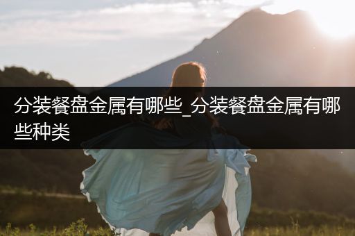 分装餐盘金属有哪些_分装餐盘金属有哪些种类