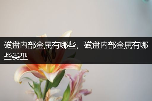 磁盘内部金属有哪些，磁盘内部金属有哪些类型