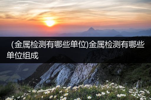 （金属检测有哪些单位)金属检测有哪些单位组成