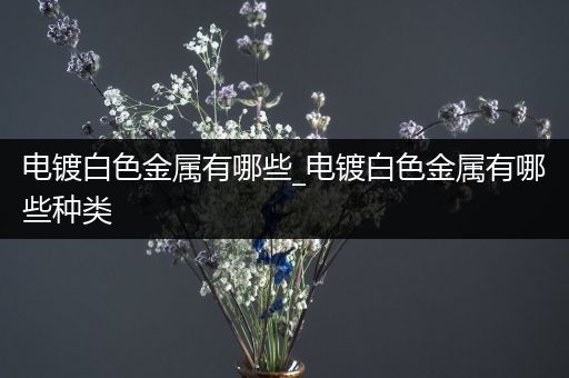 电镀白色金属有哪些_电镀白色金属有哪些种类