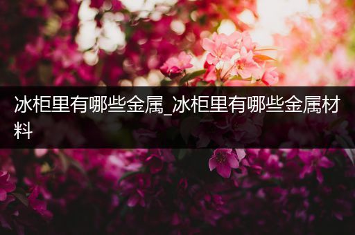 冰柜里有哪些金属_冰柜里有哪些金属材料