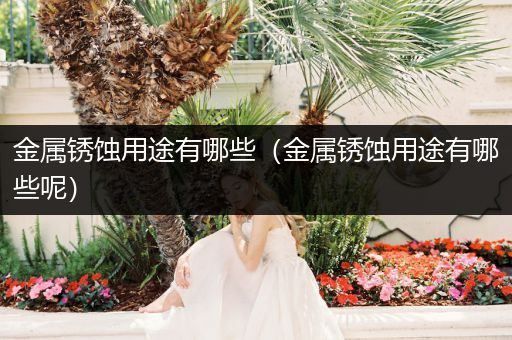 金属锈蚀用途有哪些（金属锈蚀用途有哪些呢）