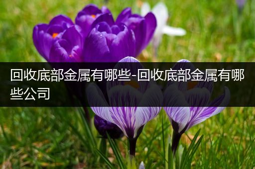 回收底部金属有哪些-回收底部金属有哪些公司