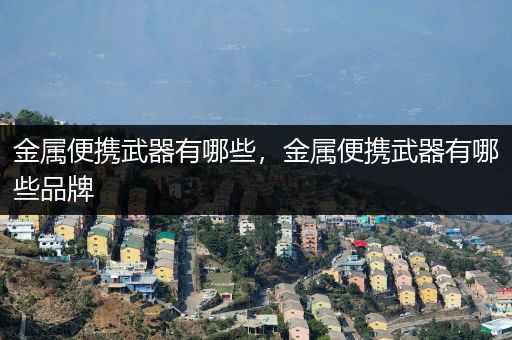 金属便携武器有哪些，金属便携武器有哪些品牌