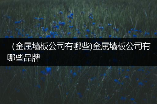 （金属墙板公司有哪些)金属墙板公司有哪些品牌