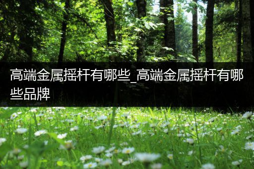 高端金属摇杆有哪些_高端金属摇杆有哪些品牌