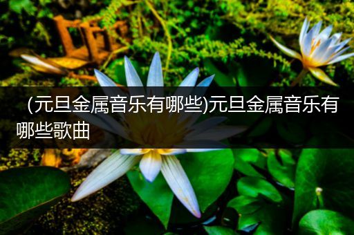（元旦金属音乐有哪些)元旦金属音乐有哪些歌曲