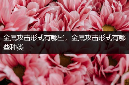 金属攻击形式有哪些，金属攻击形式有哪些种类