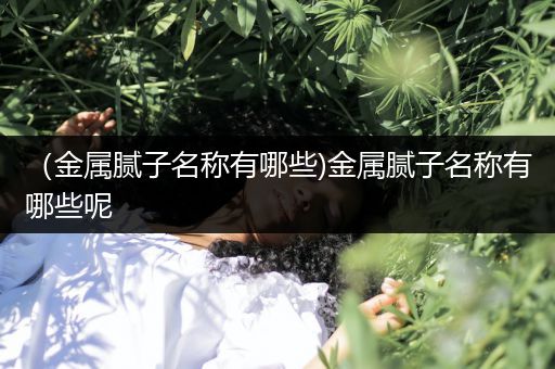 （金属腻子名称有哪些)金属腻子名称有哪些呢
