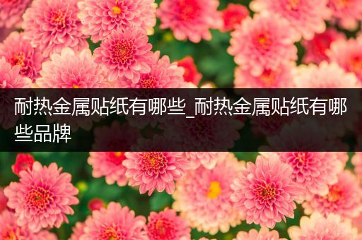 耐热金属贴纸有哪些_耐热金属贴纸有哪些品牌