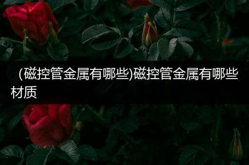 （磁控管金属有哪些)磁控管金属有哪些材质