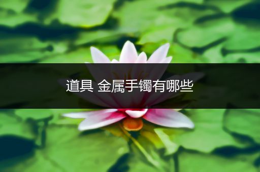 道具 金属手镯有哪些