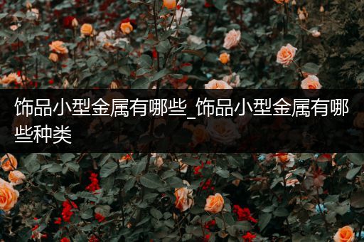 饰品小型金属有哪些_饰品小型金属有哪些种类