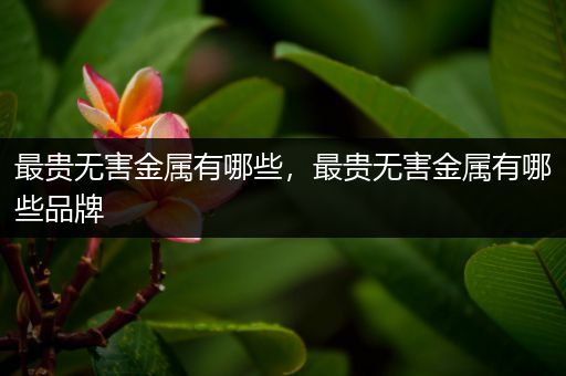 最贵无害金属有哪些，最贵无害金属有哪些品牌
