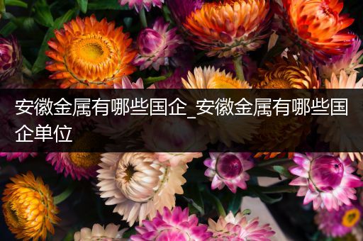 安徽金属有哪些国企_安徽金属有哪些国企单位